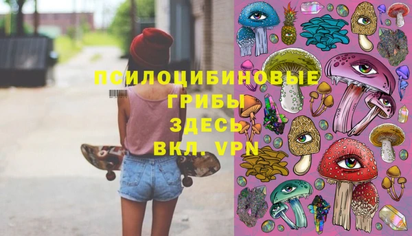 СК Гусь-Хрустальный