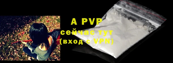 спиды Туринск