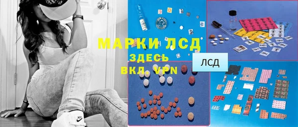 СК Гусь-Хрустальный