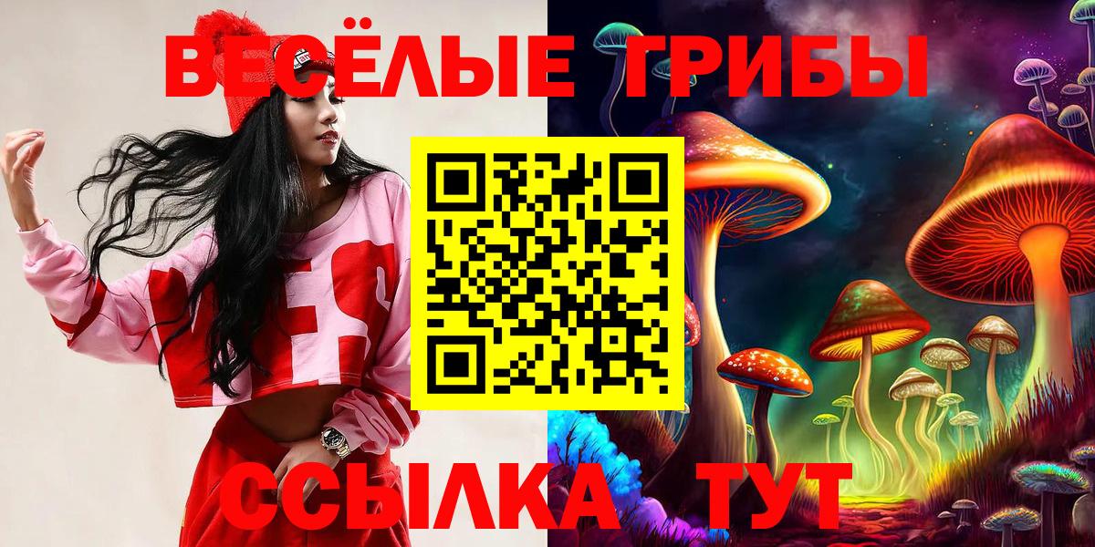 Галлюциногенные грибы Cubensis Симферополь