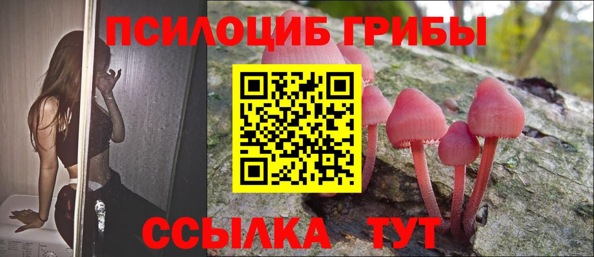 Псилоцибиновые грибы Psilocybine cubensis  Вход с VPN  Псилоцибиновые грибы прущие грибы  Симферополь 